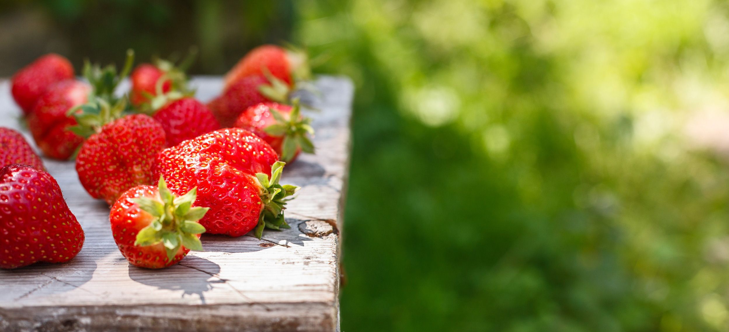 123rf aardbeien2.jpg