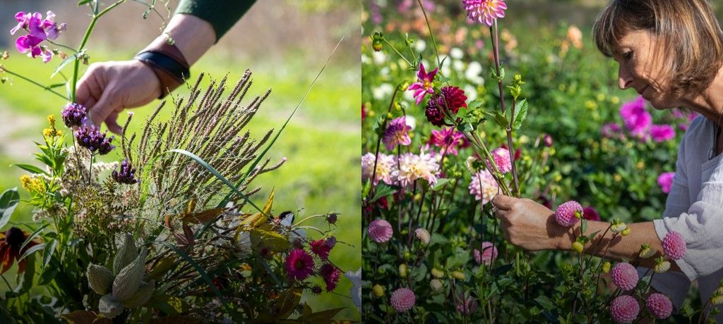 Biobloemen oogsten.jpg