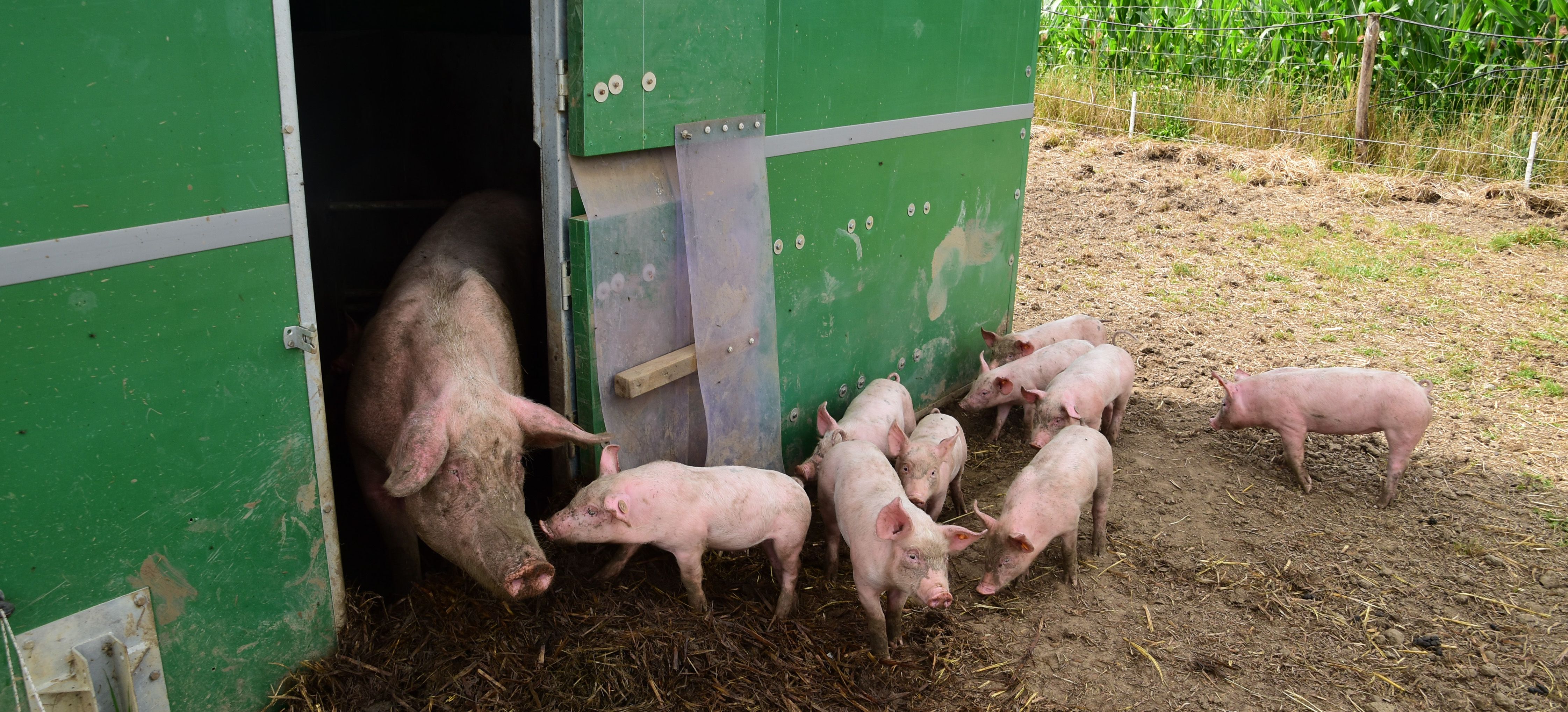 DeVleterbeek (89)b.jpg