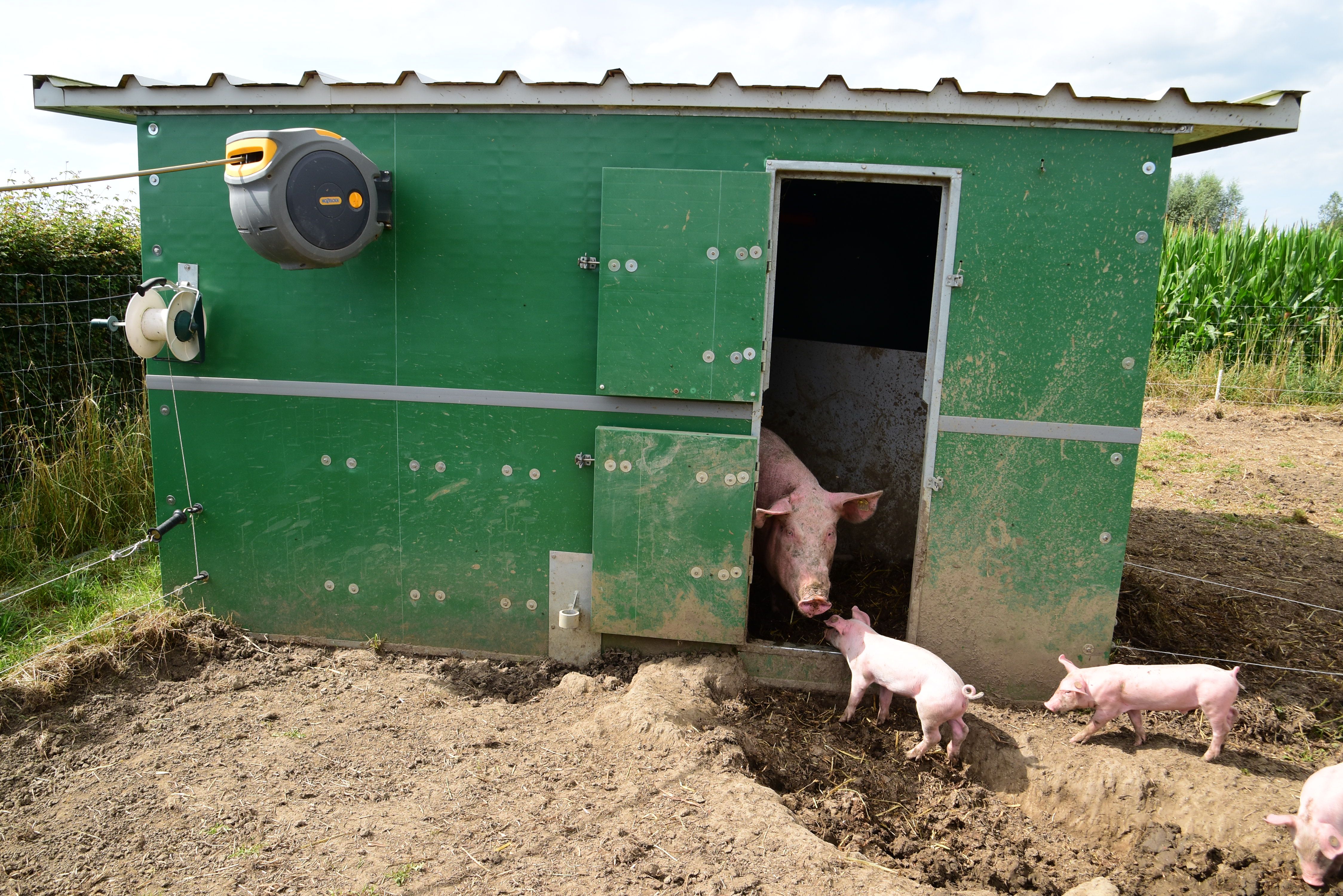 DeVleterbeek (90).JPG