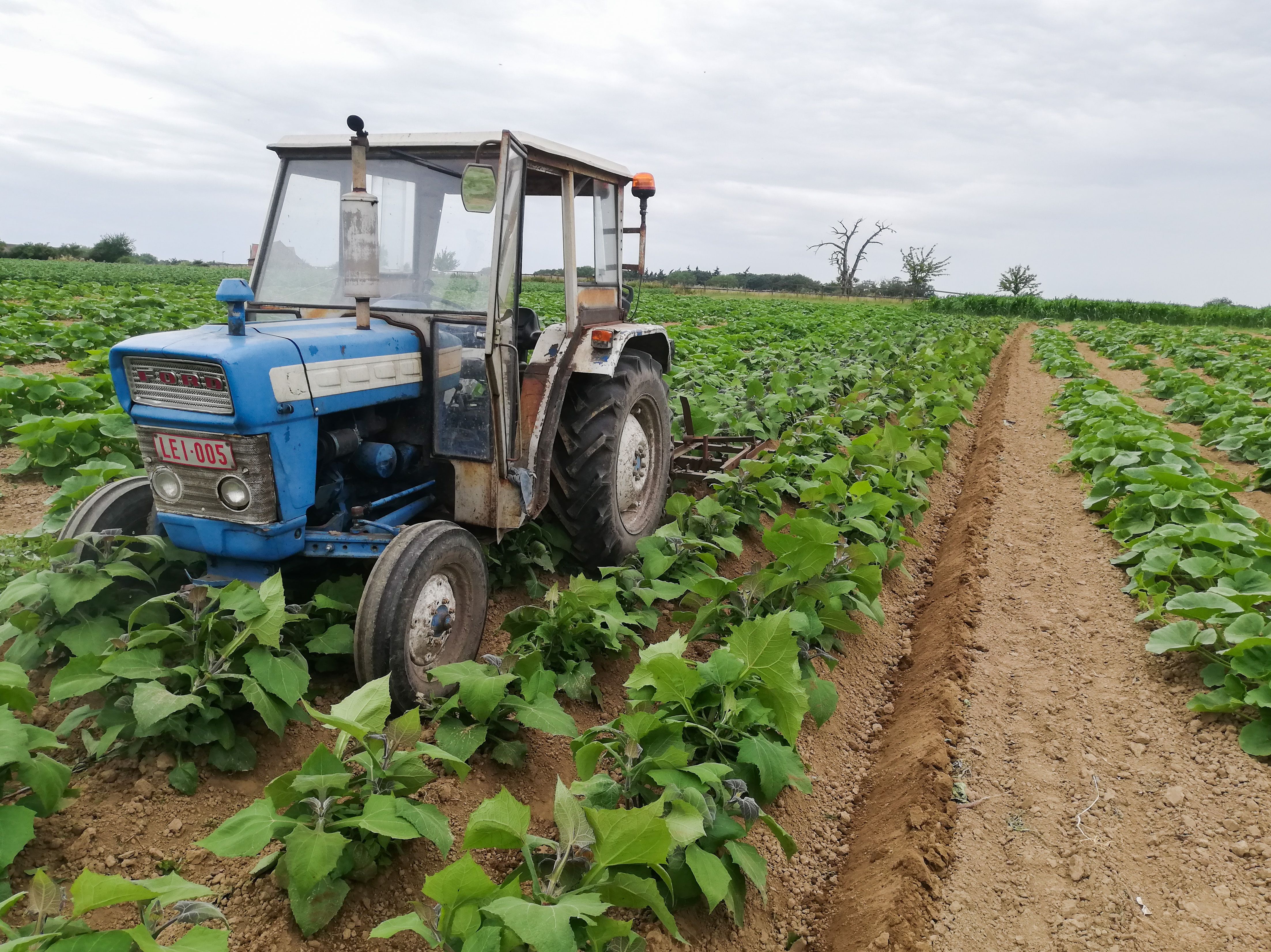 FotoJVO (7)_edited.jpg