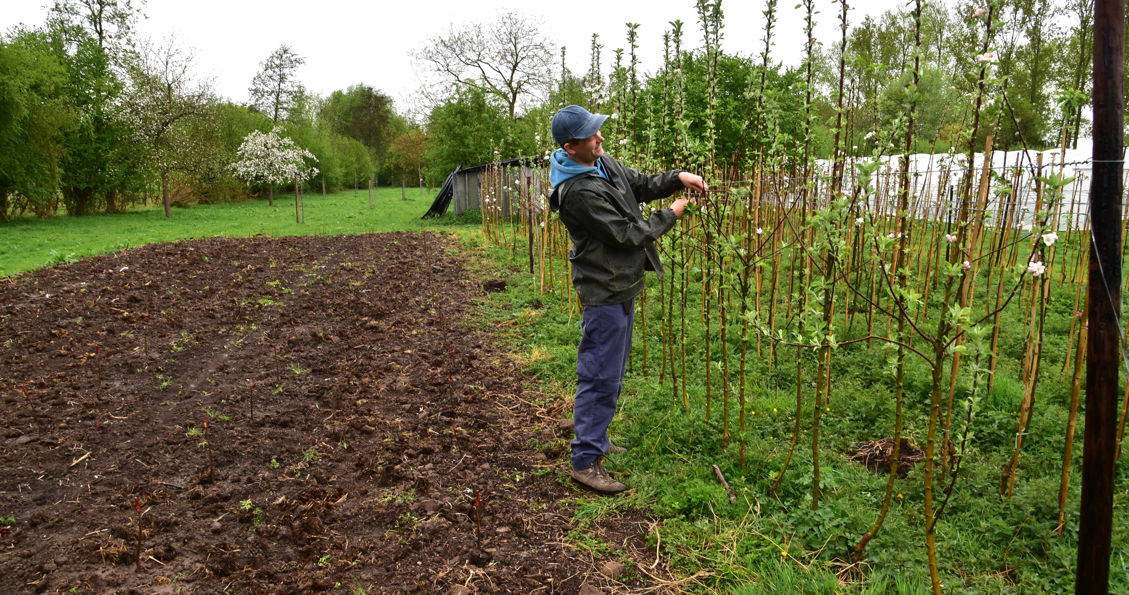 Kleinaart25 (10)B.JPG