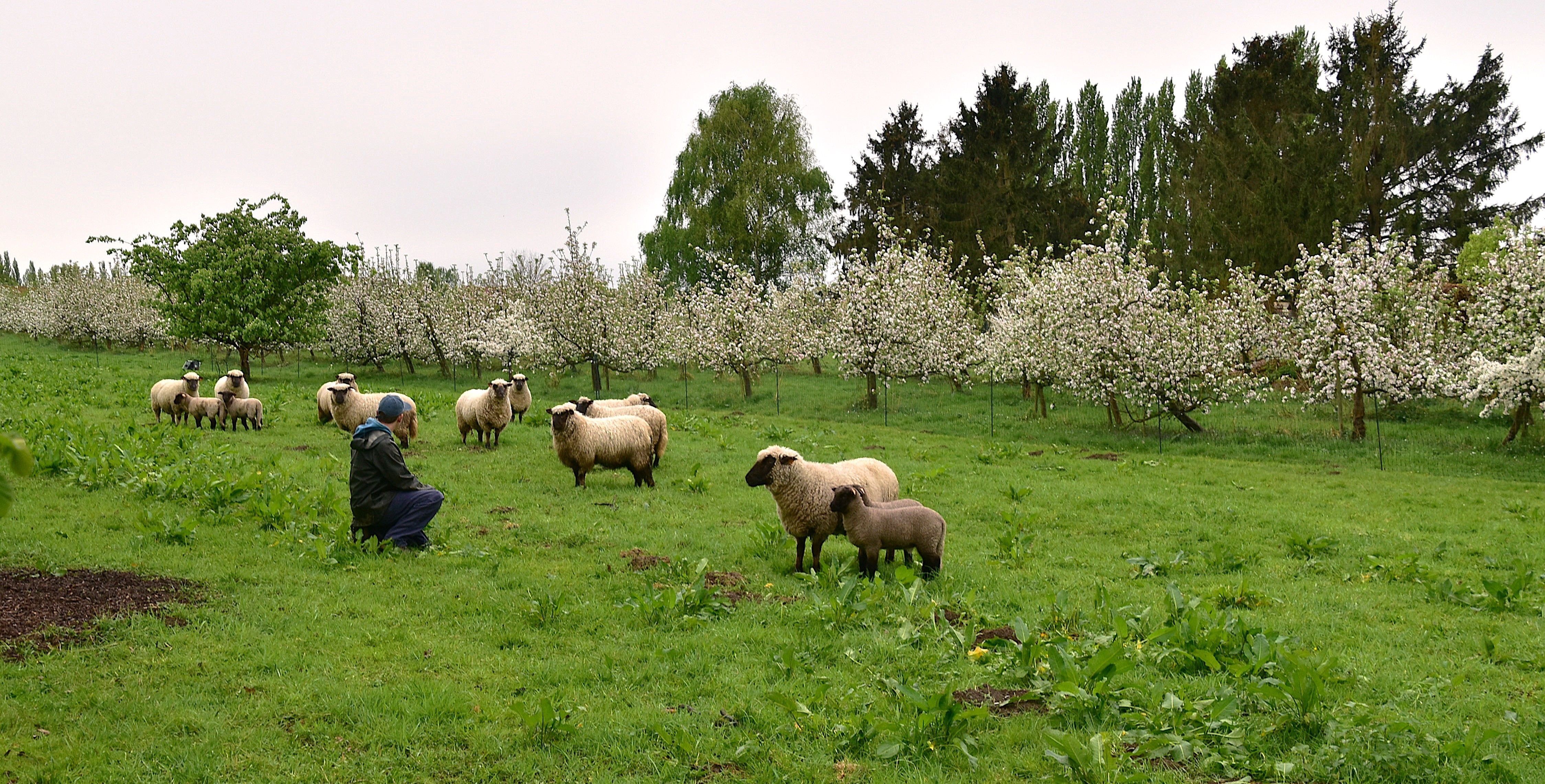 Kleinaart25 (45b).JPG