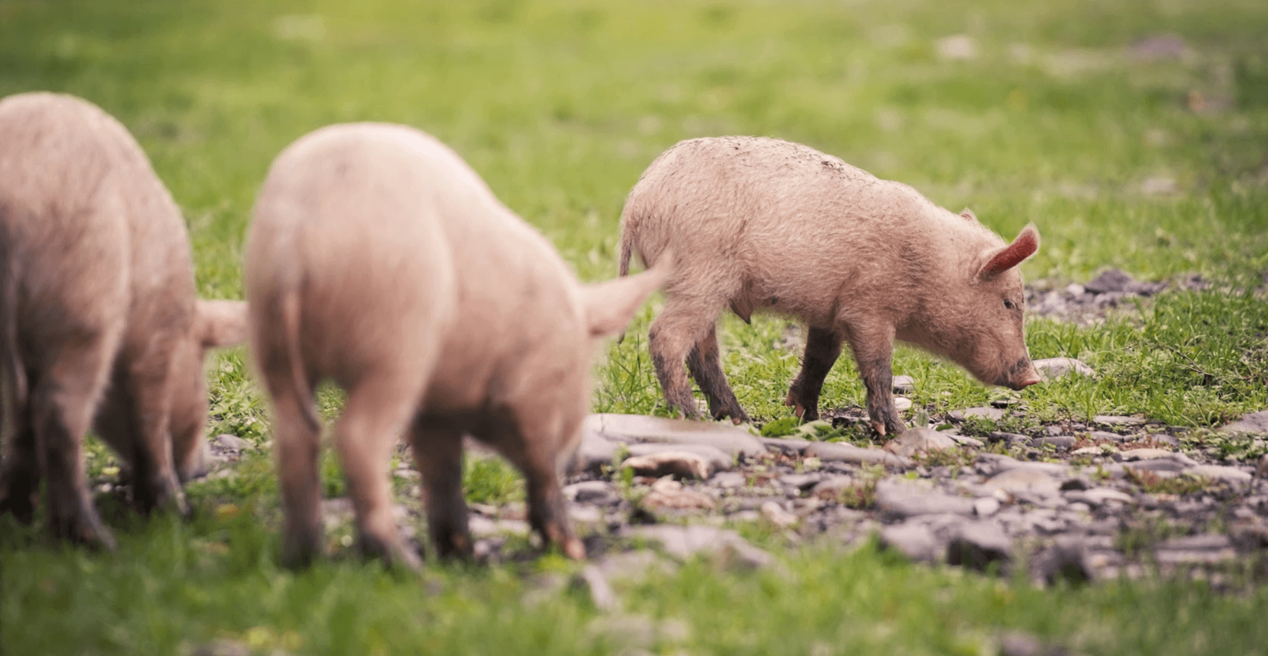 Lespakket cover (5)B.png