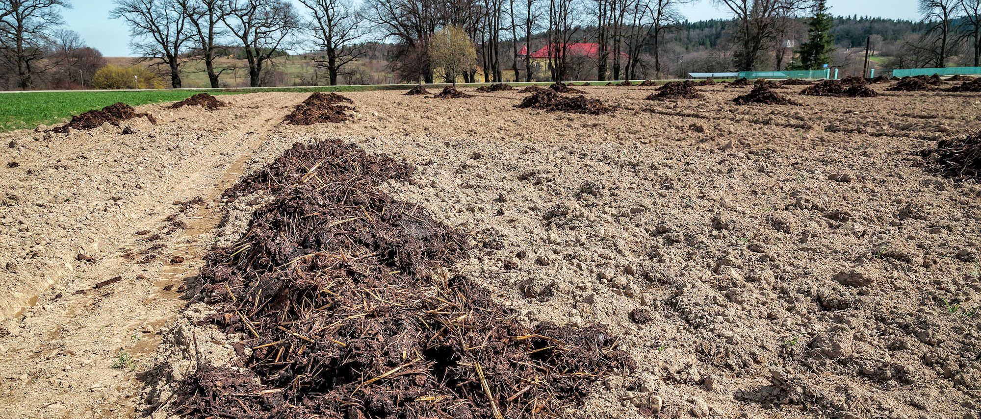 Mest op veld B iStock Vovashevchuk.jpg