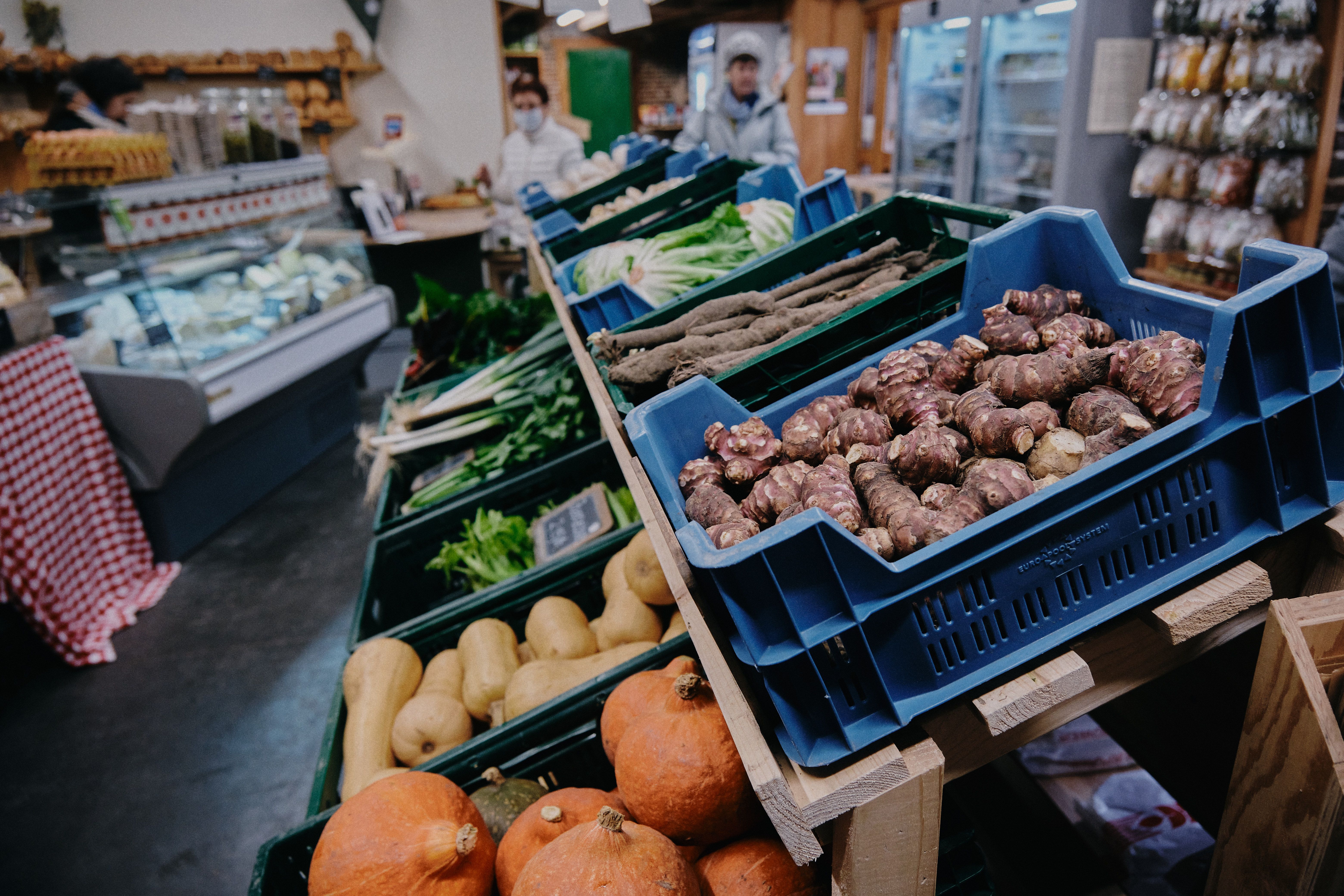 VLAM_Zonnekouter_10feb2023 1.jpg