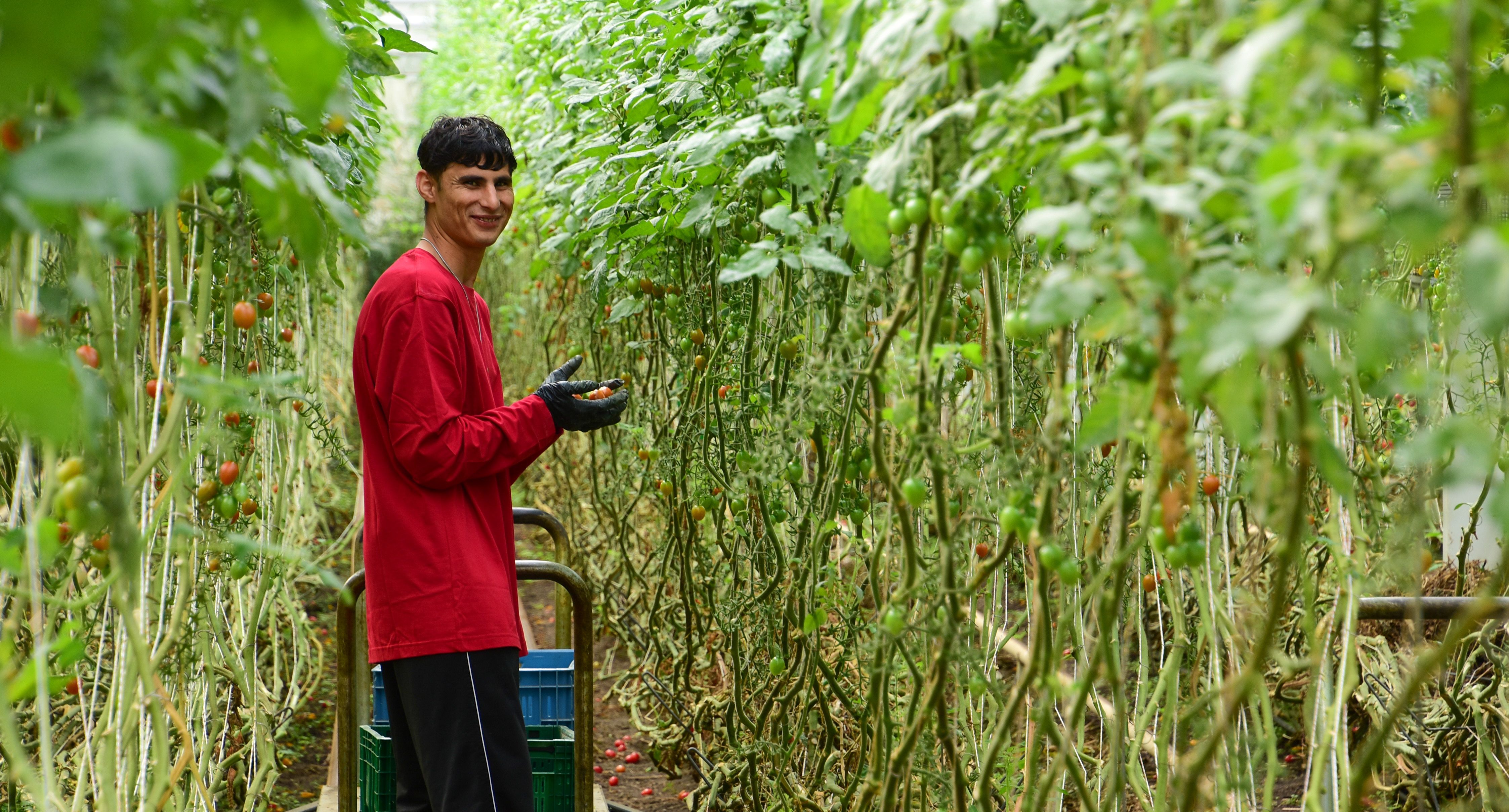 VitaetomVideo (18)b.jpg