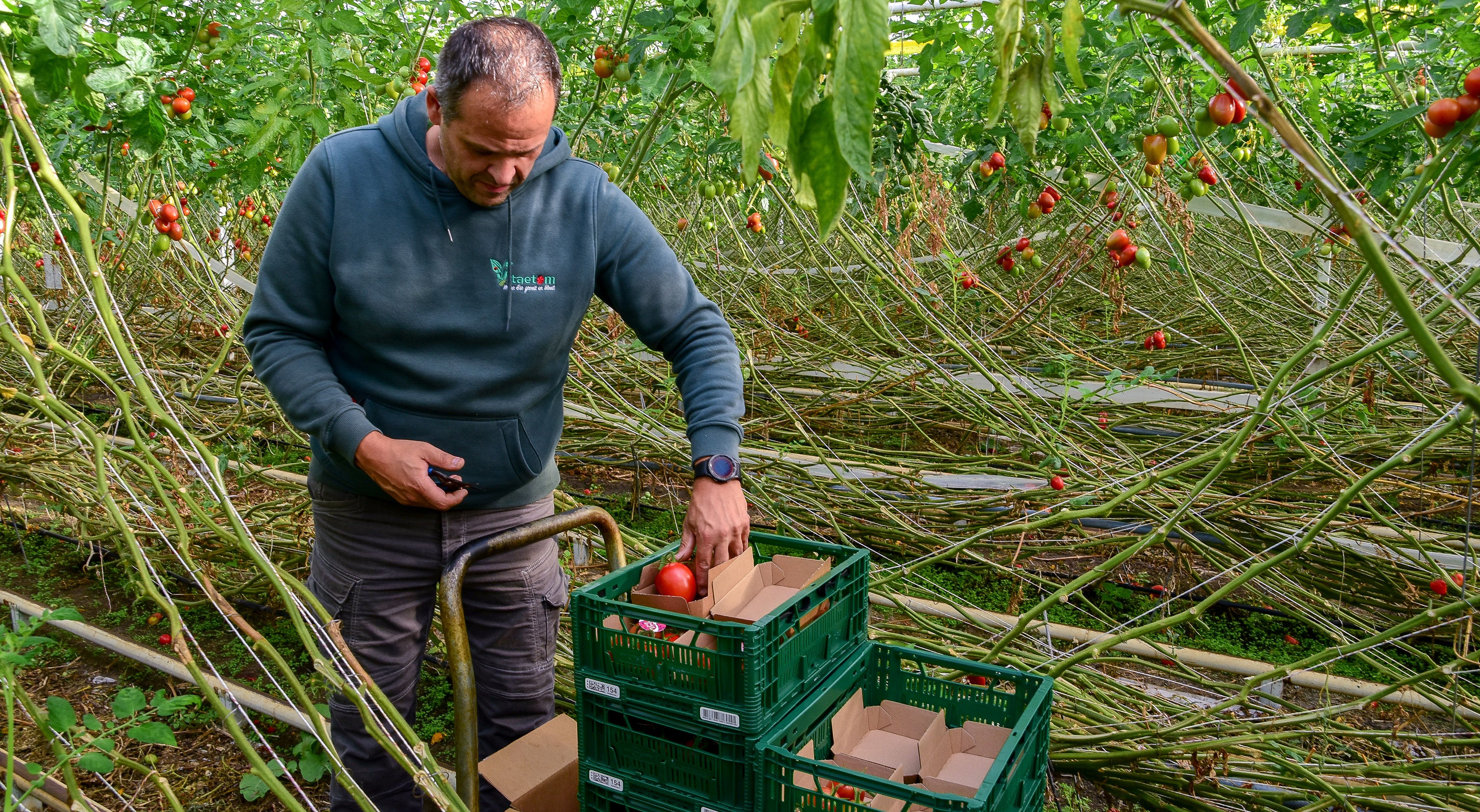 VitaetomVideo (30)b.jpg