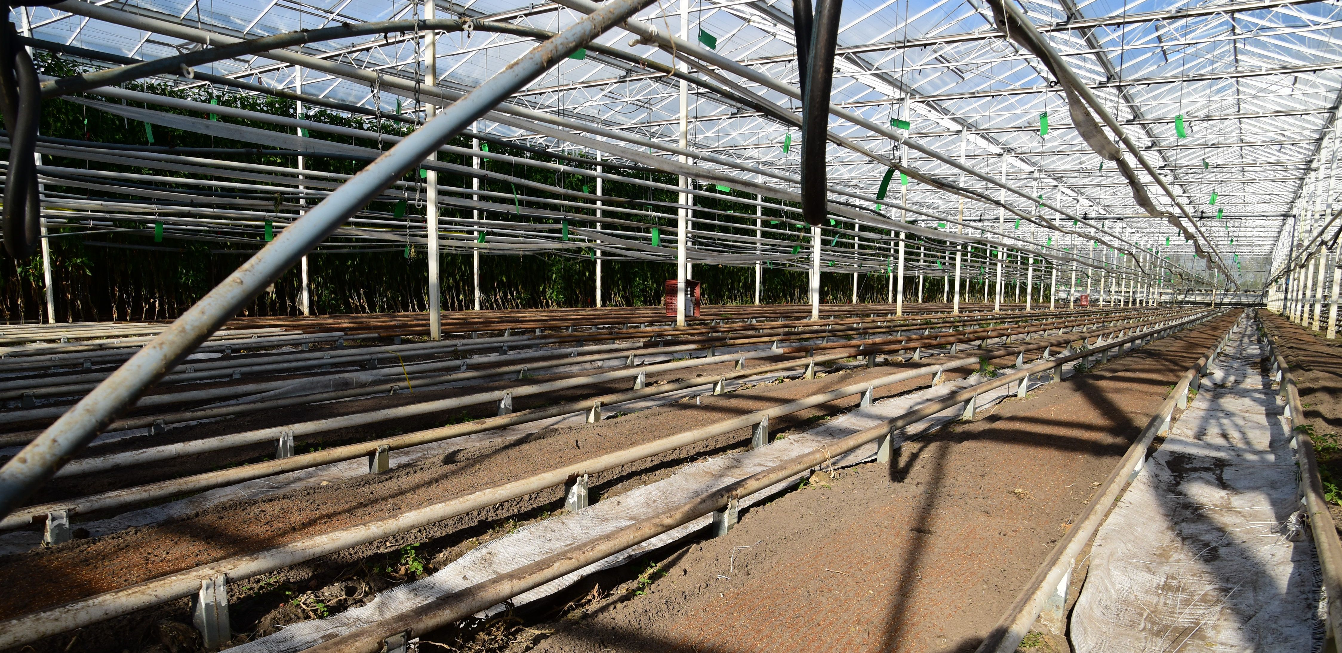 VitaetomVideo (40)b.jpg