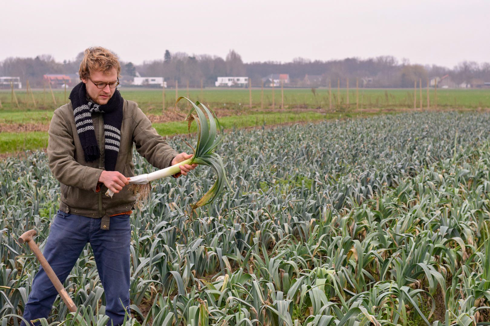 Wim Michels aan het werk op zijn zelfoogstboerderij  - (c) Landwijzer