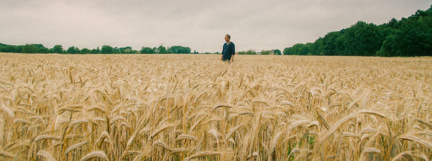 Bavo Verwimp tussen het graan - (c) VLAM