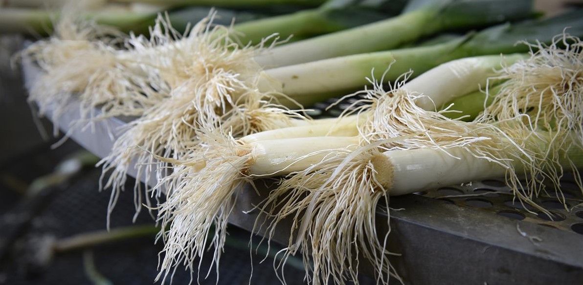 Vers geoogste bioprei - (c) REO Veiling

----

Sort: 4