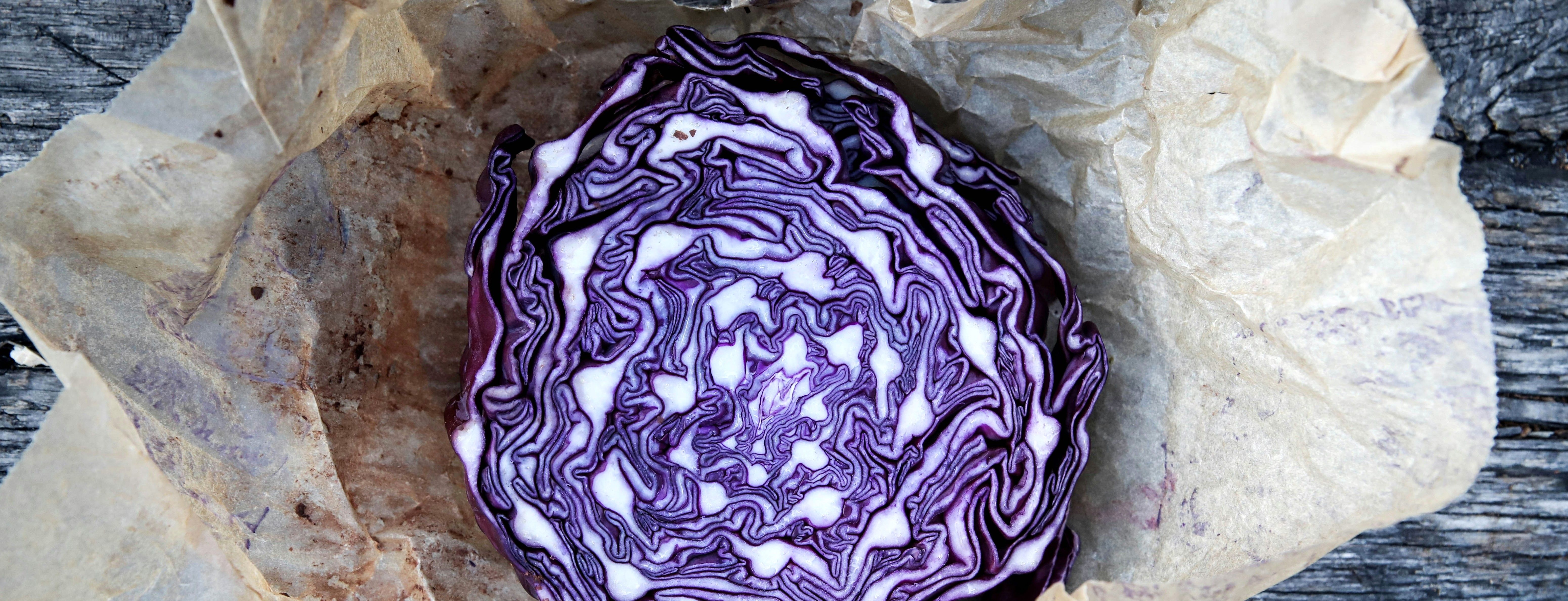 rode kool_matilda-bellman-unsplash.jpg