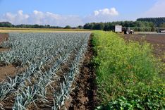 Agrico_PDL (27) (Middel).JPG