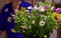 Blommm (12)B.jpg