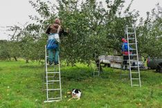 Boogerd_vid (27)b.jpg