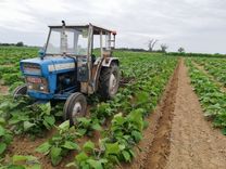 FotoJVO (7)_edited.jpg