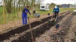 Grassroots (42)b.JPG