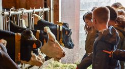 GreenValley (1)b.jpg