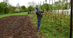 Kleinaart25 (10)B.JPG