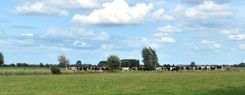 Landvmeh (16)b.JPG