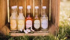 Paj Fruji_2 flesjes.jpg