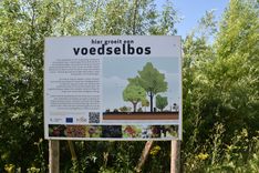 Polderveld (30).JPG
