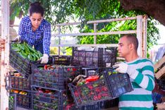 Spanje groenten_iSt1275779307.jpg