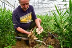 VanHove (12)_edited.jpg