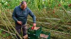 VitaetomVideo (30)b.jpg