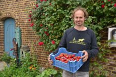 Maarten Van Gool, apetrots op de aardbeien van De Levensbron - (c)VLAM