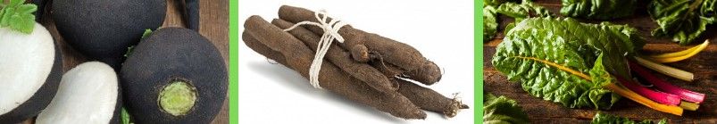 Vergeten groenten: rammenas, schorseneren en warmoes - (c) VLAM

----

Sort: 4