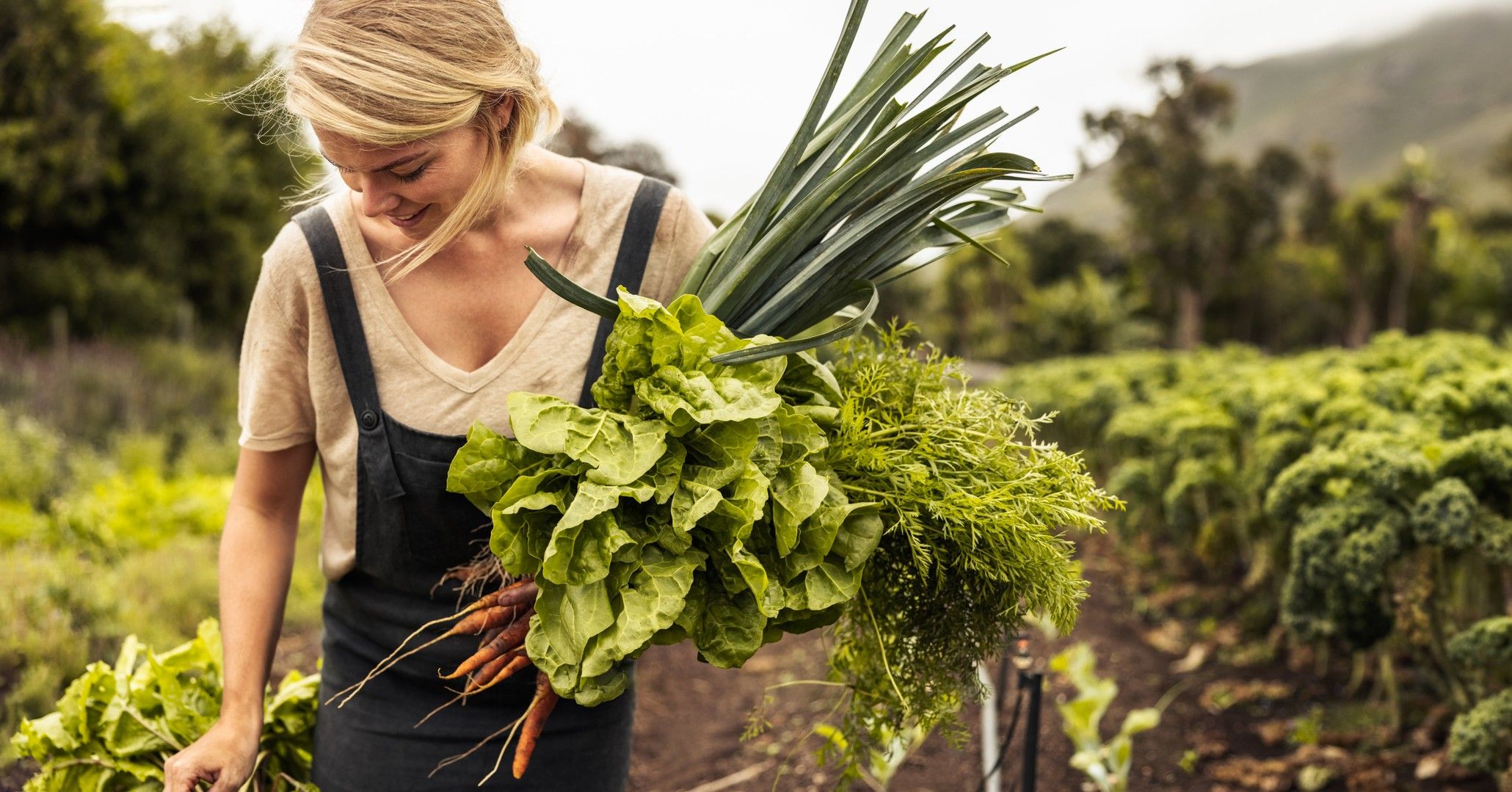 vrouw veld_iStock JacobLund_v2.jpg