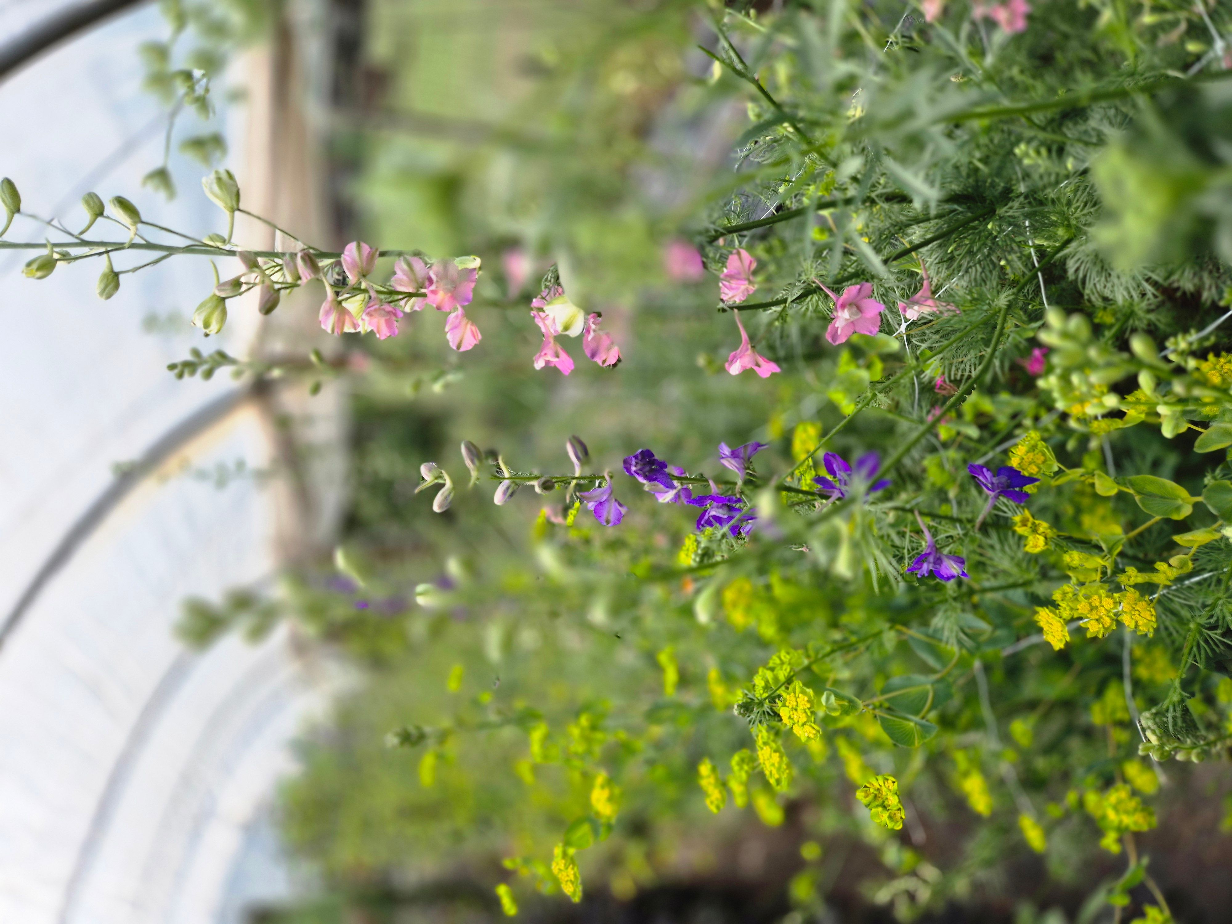 Hoofdafbeelding van de activiteit