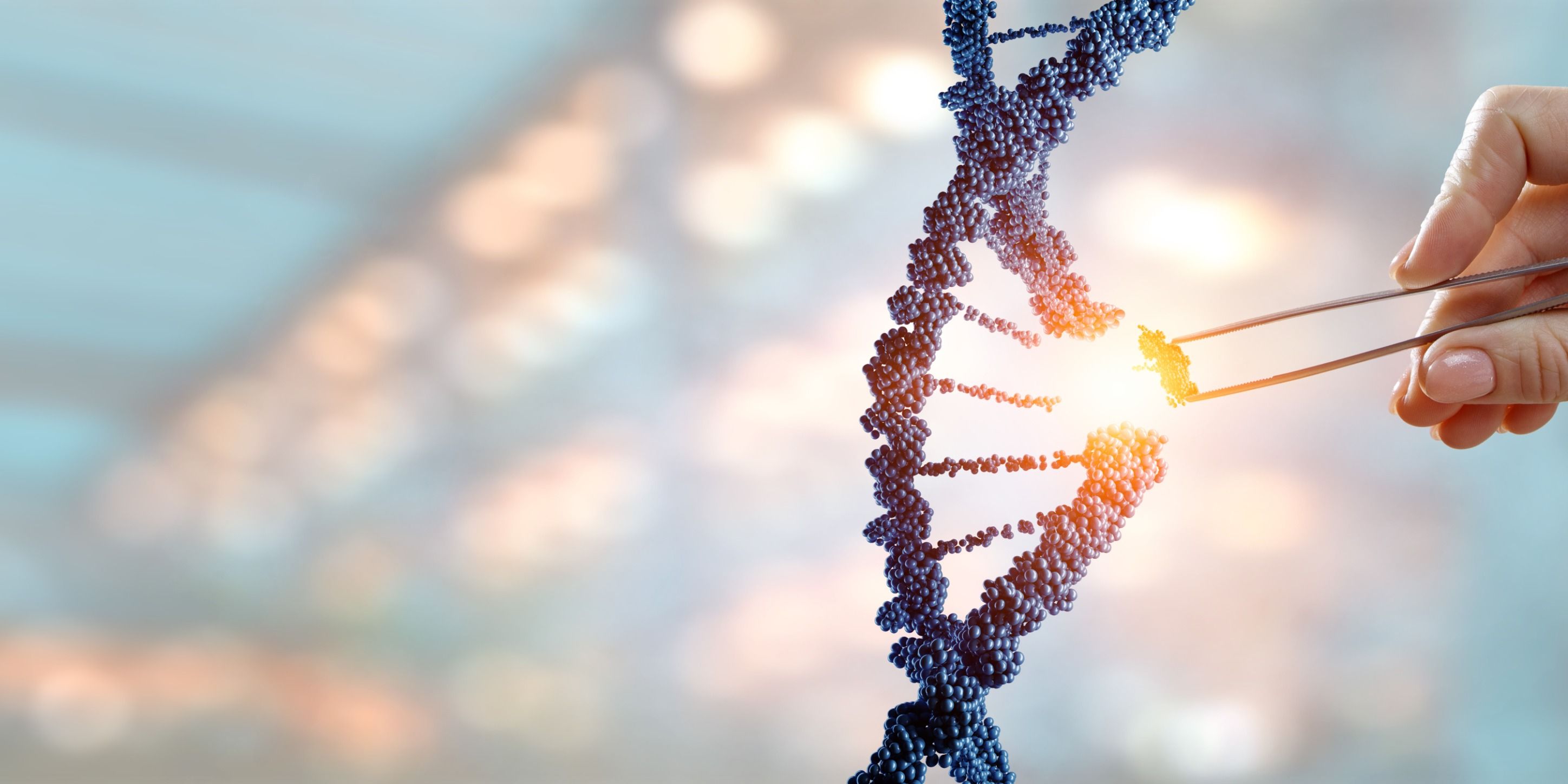 Hoofdafbeelding van het artikel