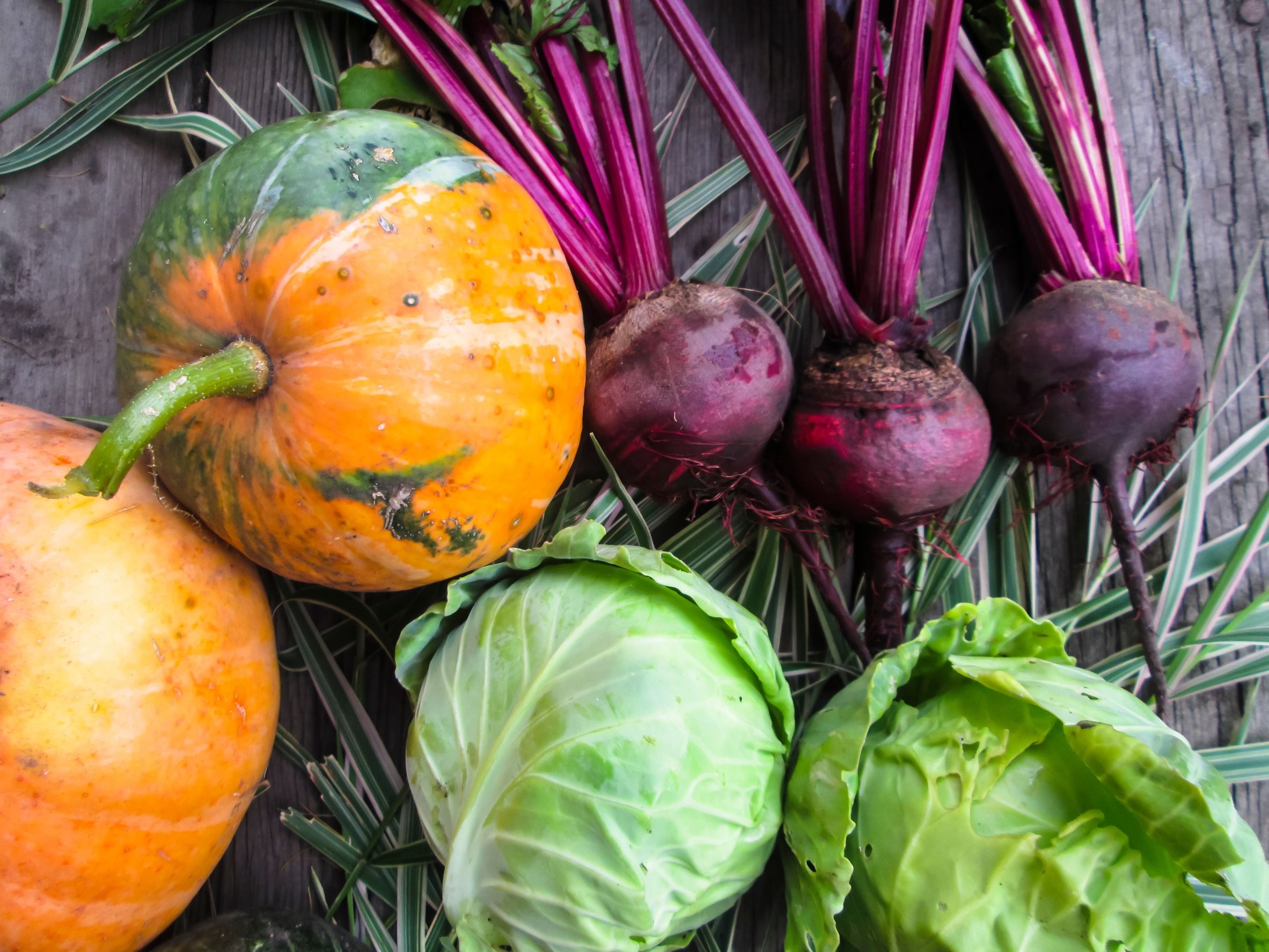 Hoofdafbeelding van het artikel