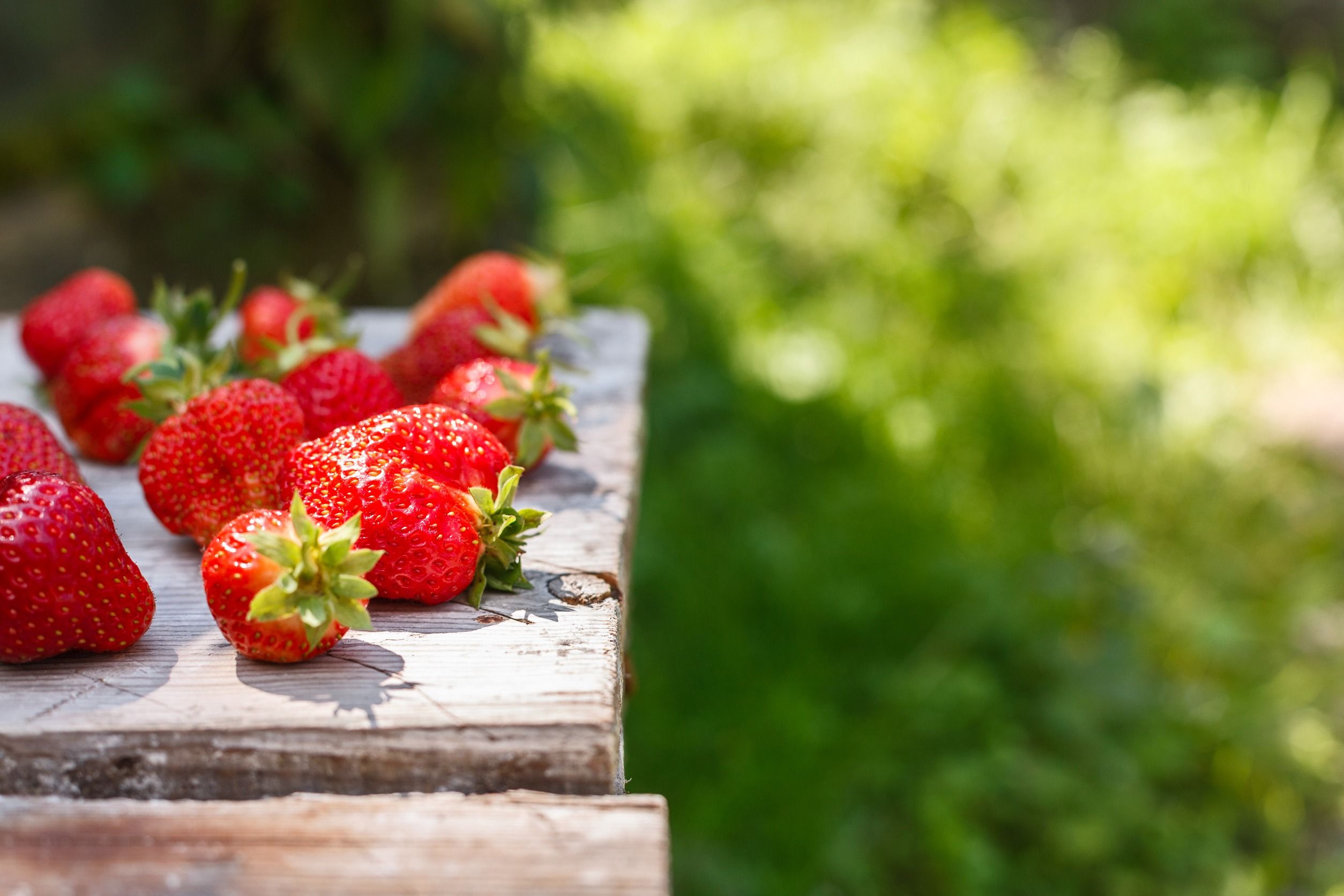 Hoofdafbeelding van het artikel