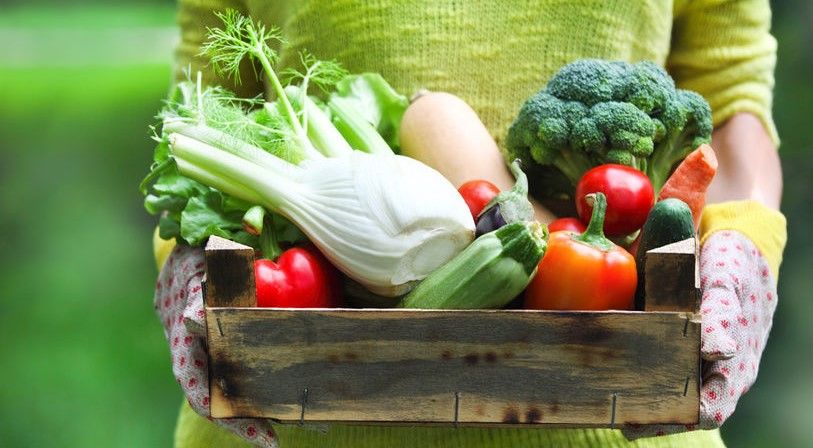 Lekkere verse lokale groenten - oktober is er een topmaand voor! - (c) Vlam