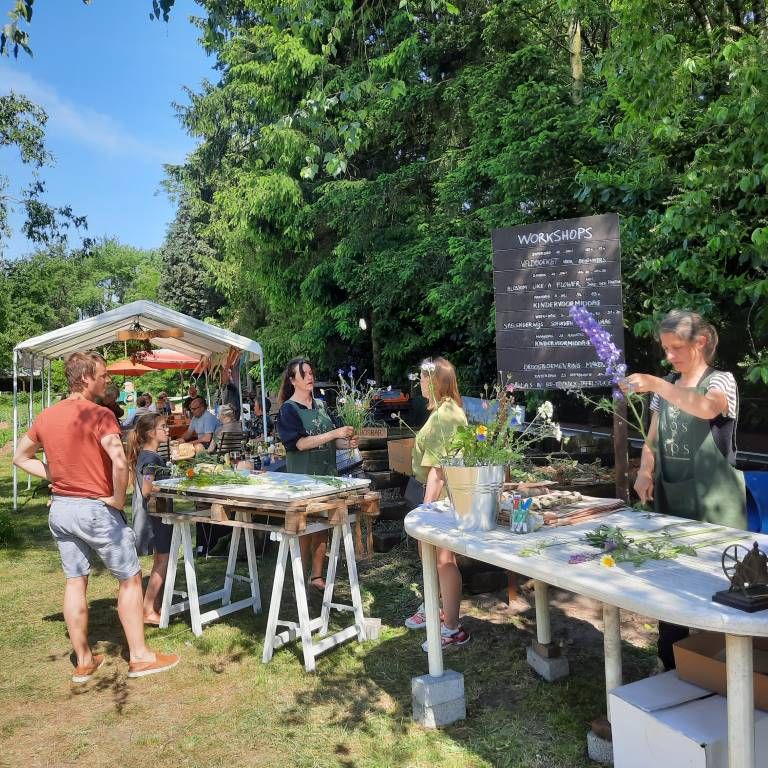 Hoofdafbeelding van de activiteit