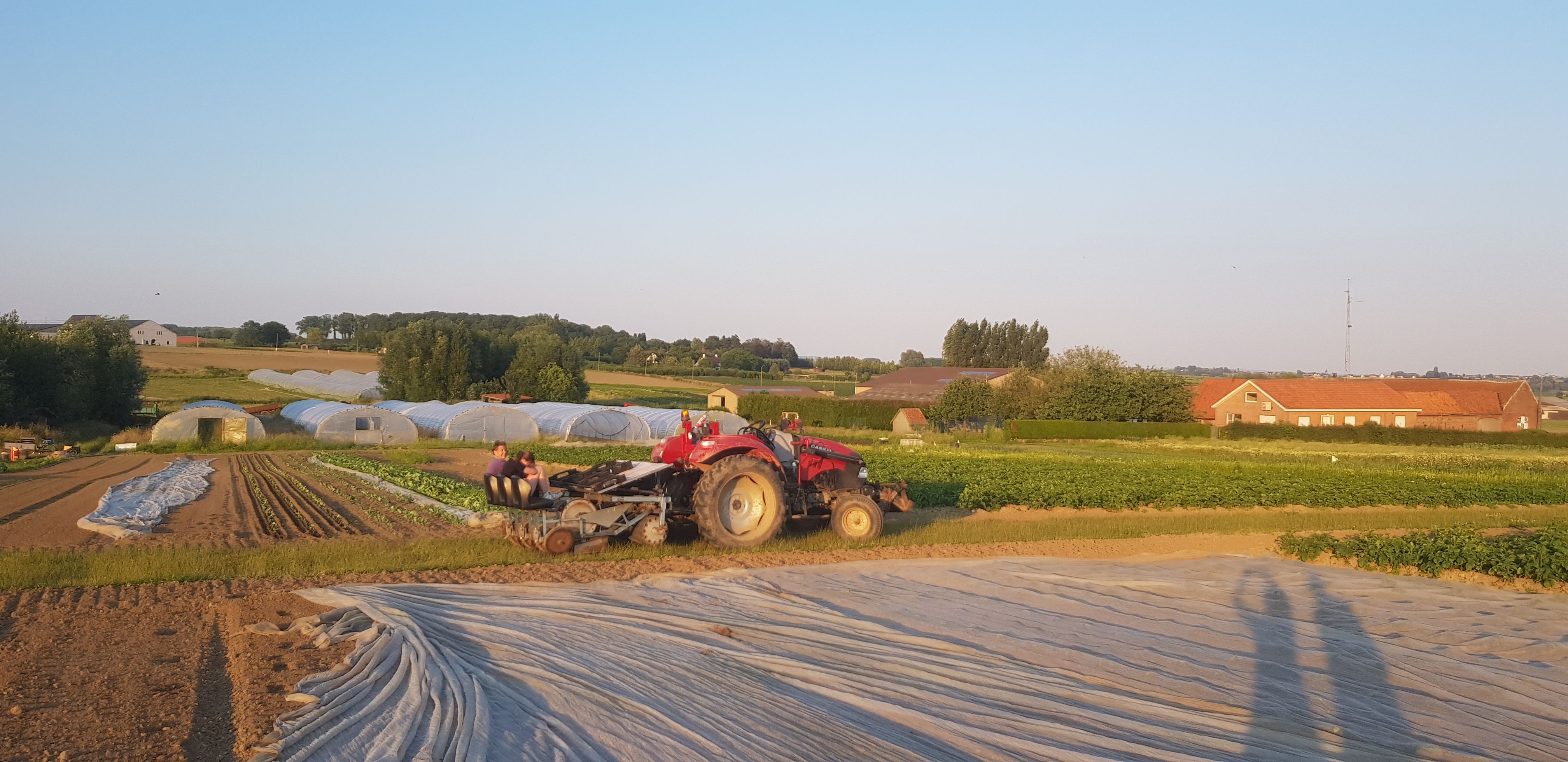 Hoofdafbeelding van de activiteit