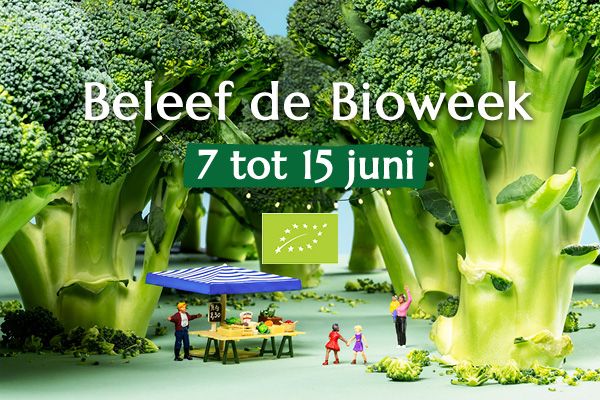 Hoofdafbeelding van het artikel