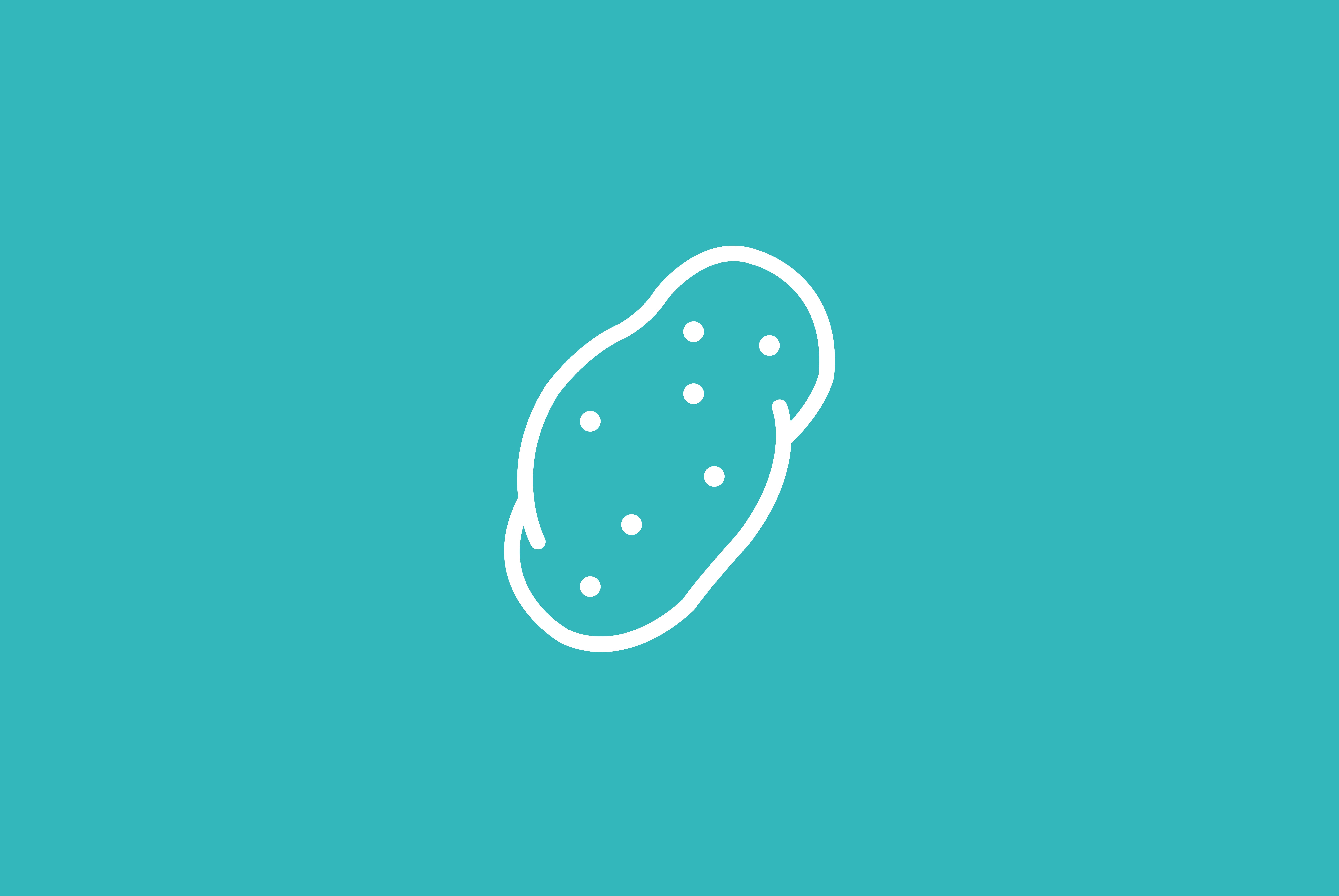 Hoofdafbeelding van het artikel