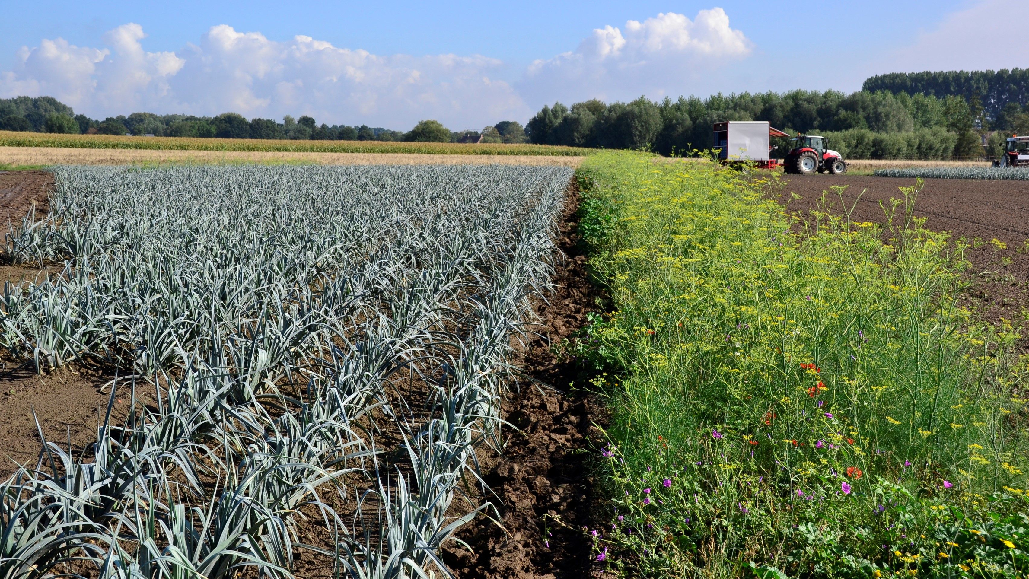 Hoofdafbeelding van de pagina