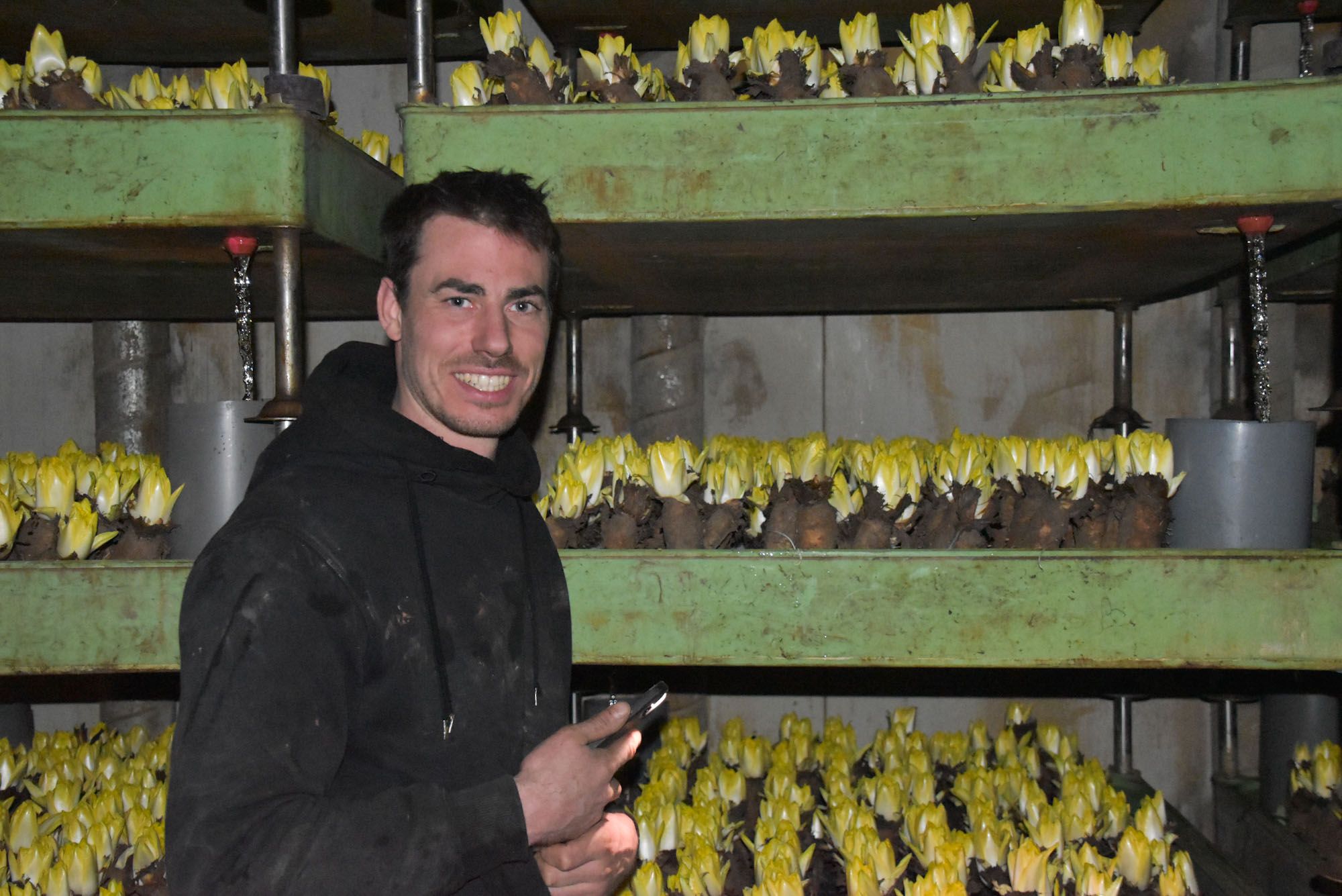 Hoofdafbeelding van het artikel