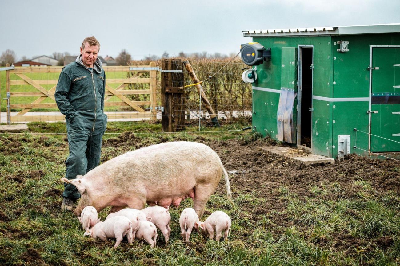 Hoofdafbeelding van de activiteit