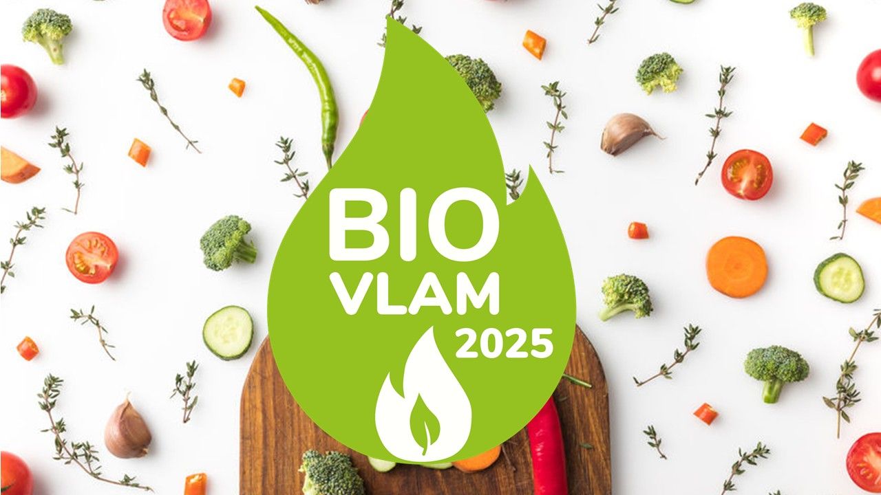 Afbeelding van het artikel