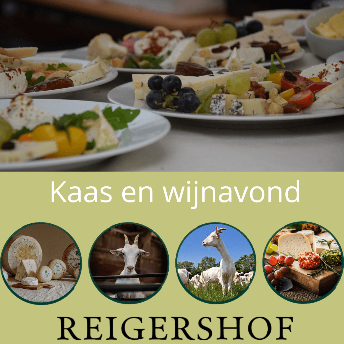 Hoofdafbeelding van de activiteit
