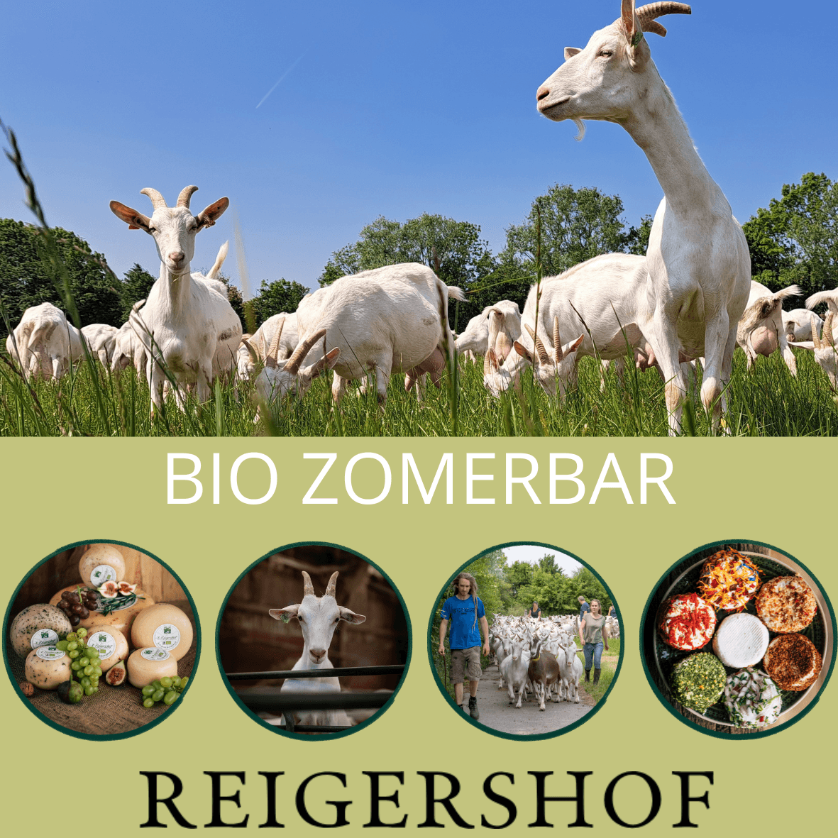 Hoofdafbeelding van de activiteit