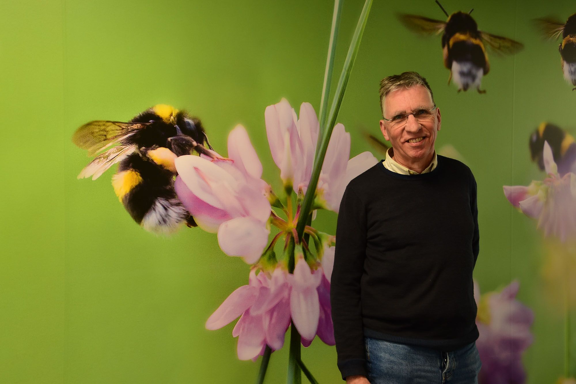 Afbeelding van het artikel