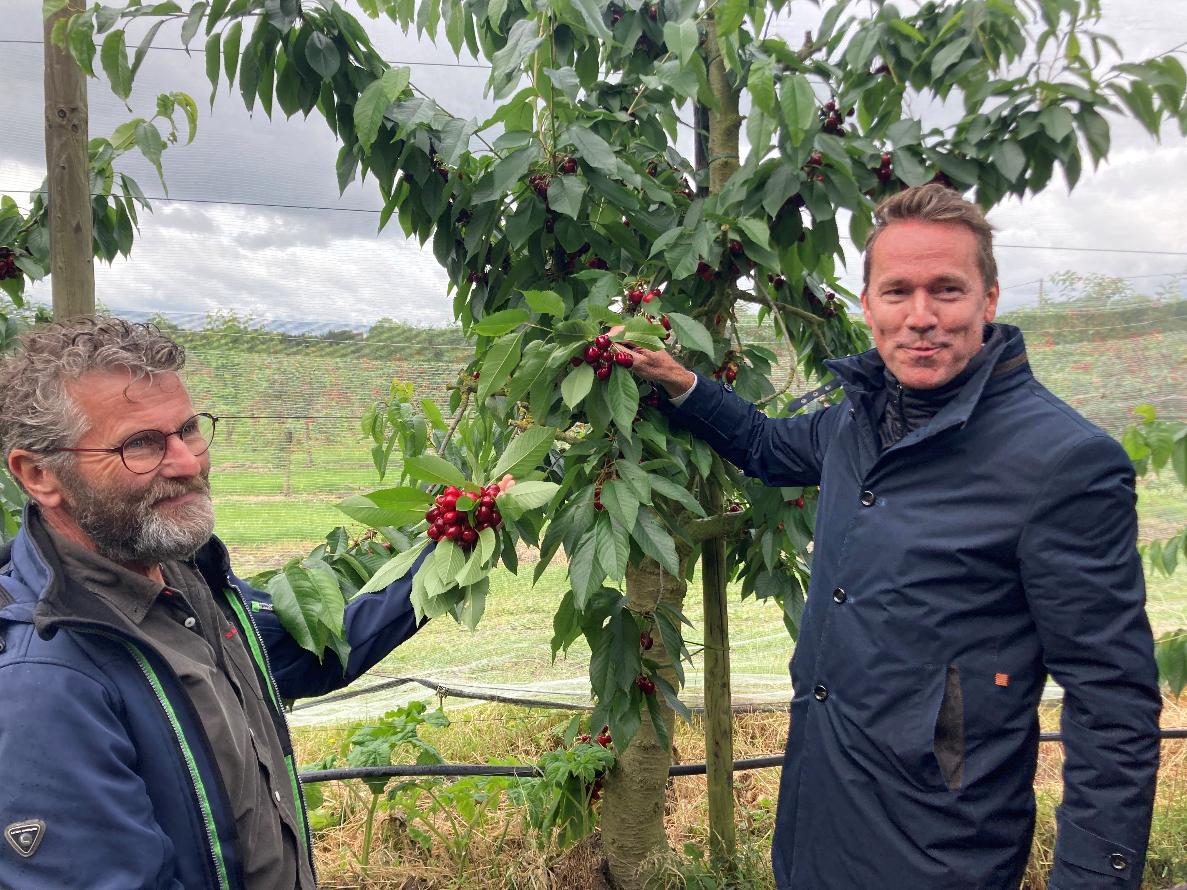 Afbeelding van het artikel